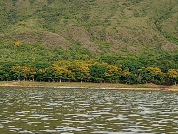 19 Finca Raiz Colombia