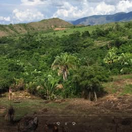 2 Finca Raiz Colombia