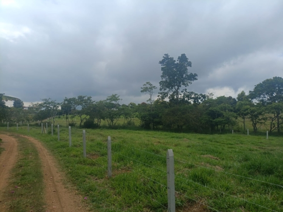 1000657541 Finca Raiz Colombia