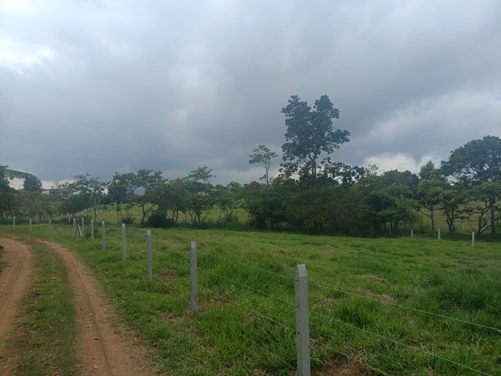 1000657541 Finca Raiz Colombia