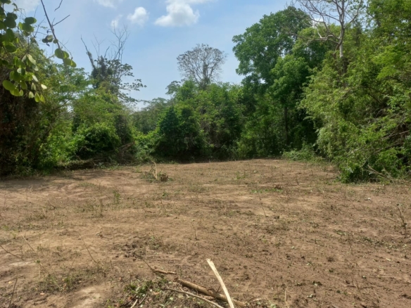 a16c2565 6285 4c5c bde0 6f926db68ba0 Finca Raiz Colombia