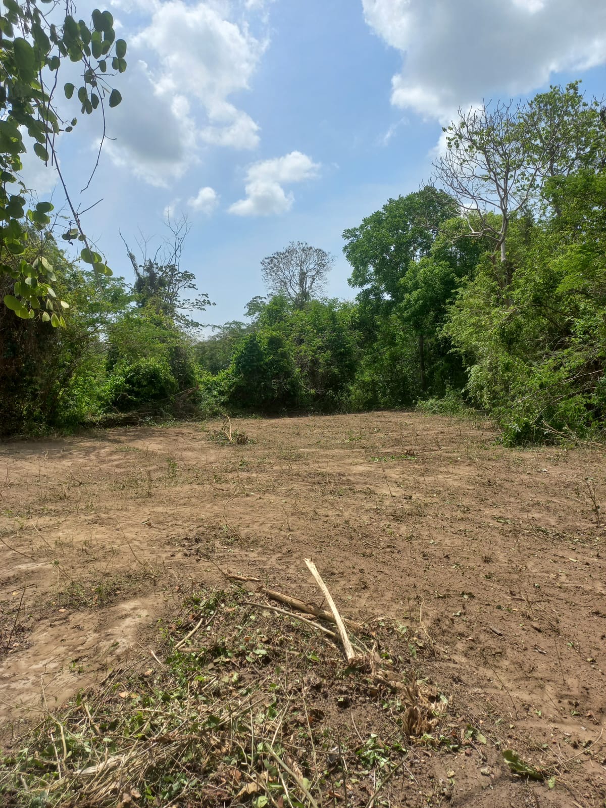 a16c2565 6285 4c5c bde0 6f926db68ba0 Finca Raiz Colombia