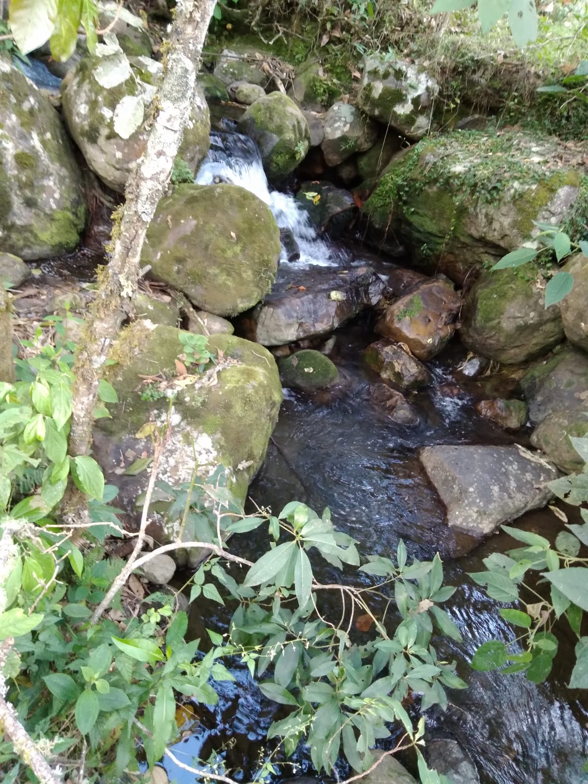 finca 3