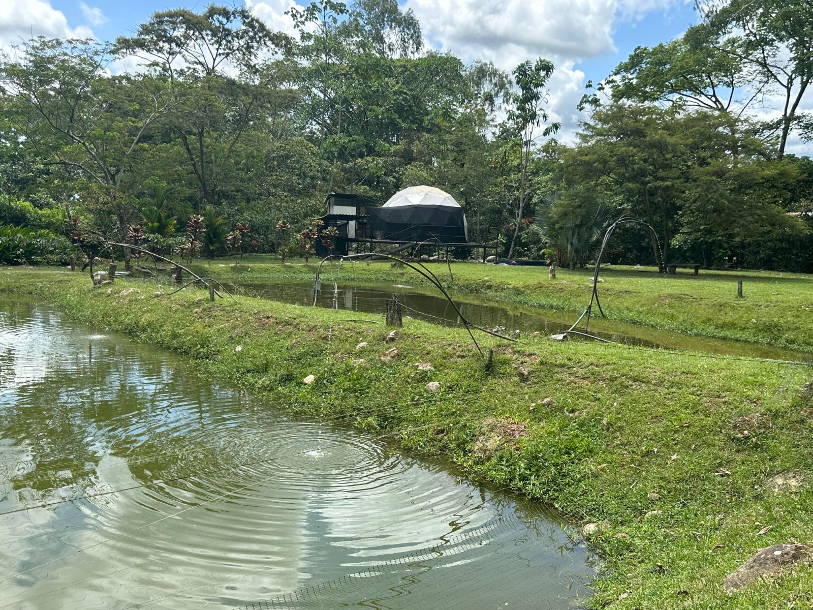 2.5