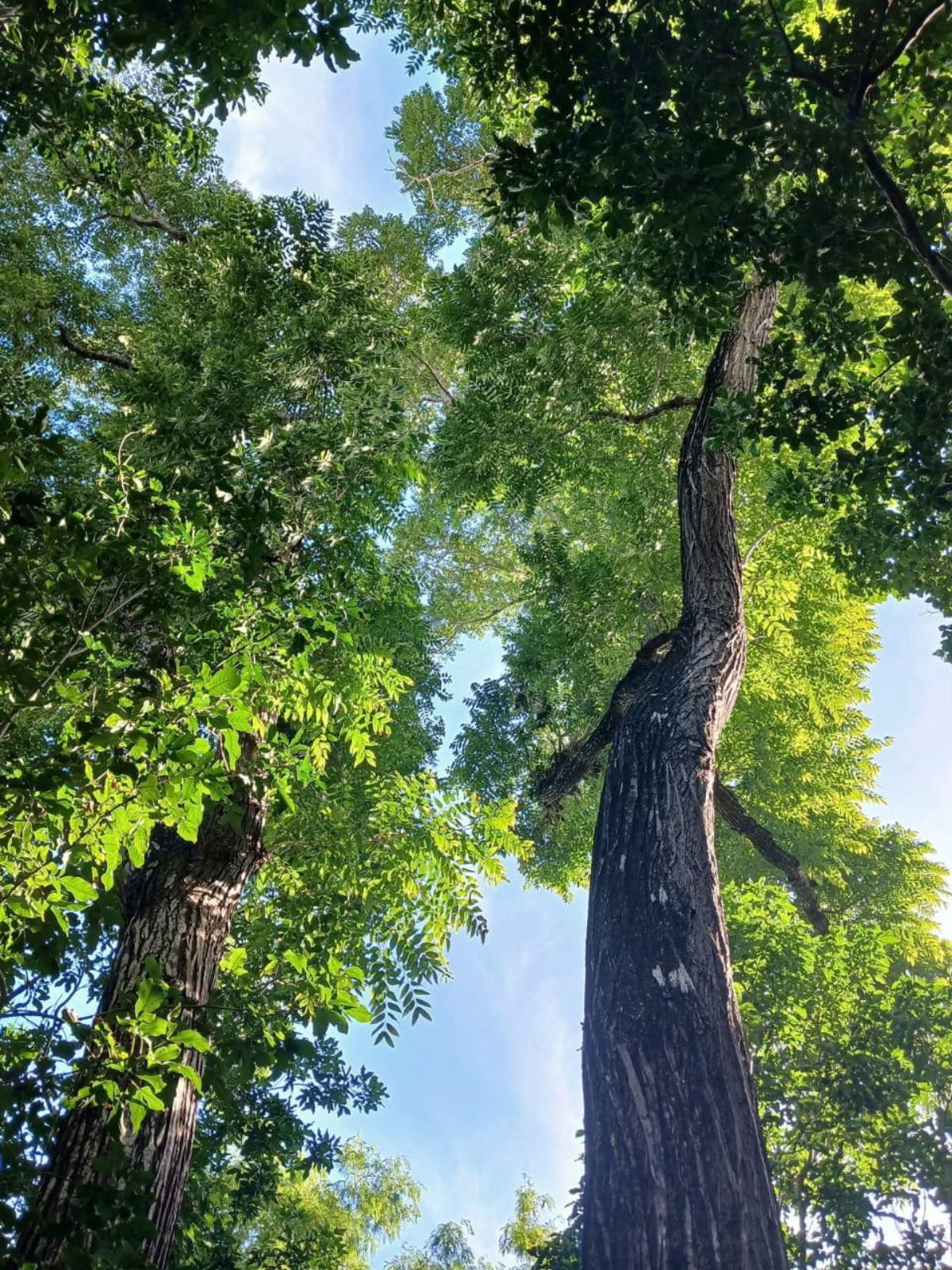 Foto de la Naturaleza Finca Raiz Colombia
