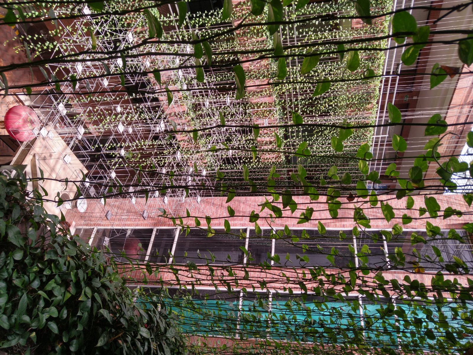 IMG_20260801_105543768_HDR