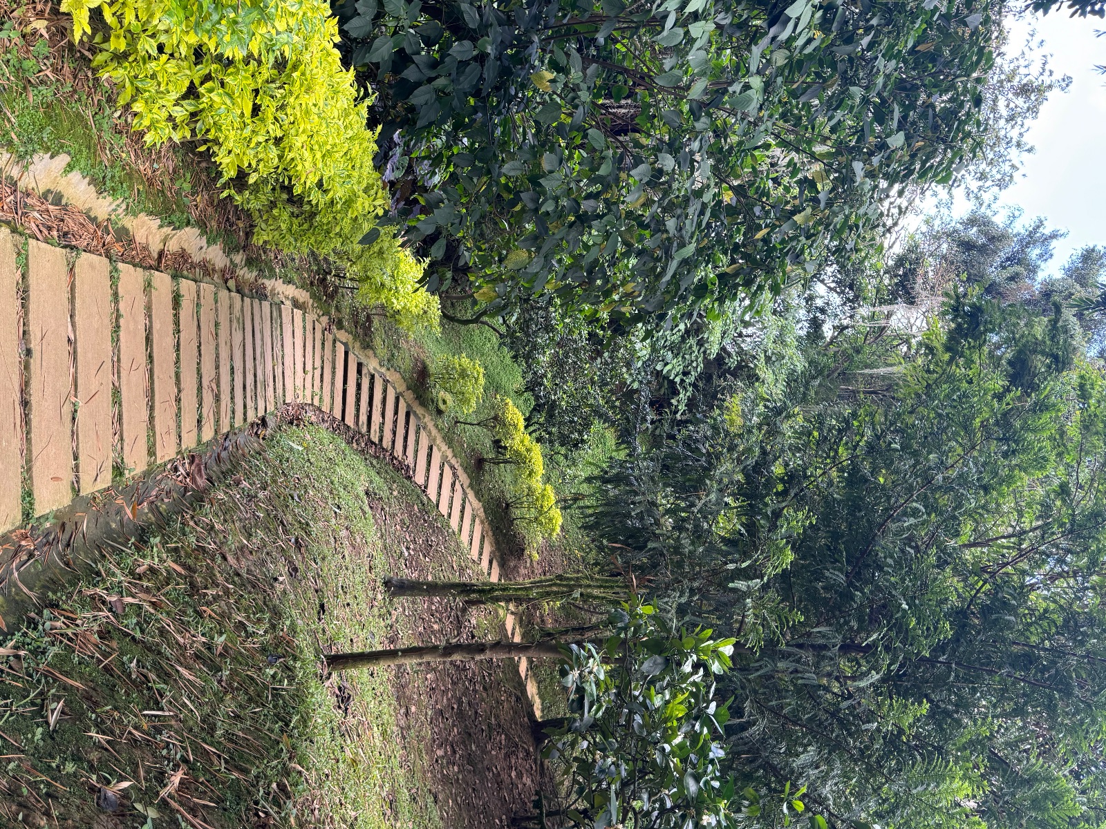 IMG 3184 Finca Raiz Colombia