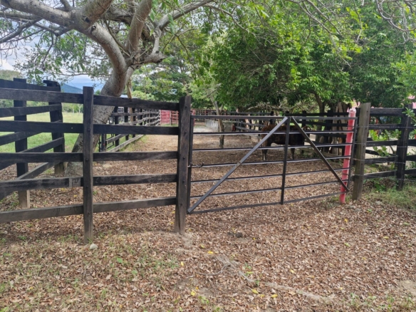 WhatsApp Image 2026 02 10 at 11.49.42 AM 1 Finca Raiz Colombia