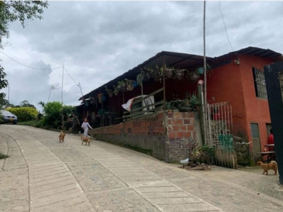 WhatsApp Image 2026 10 25 at 8.45.13 PM Finca Raiz Colombia