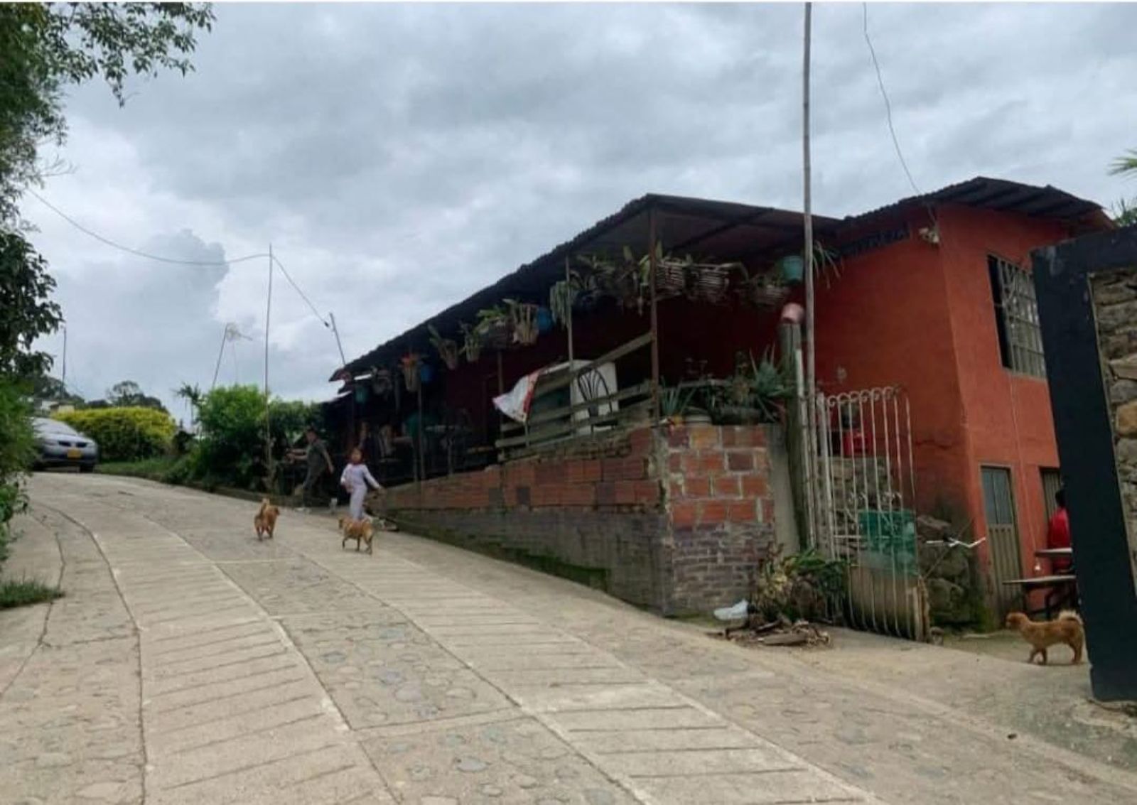 WhatsApp Image 2026 10 25 at 8.45.13 PM Finca Raiz Colombia