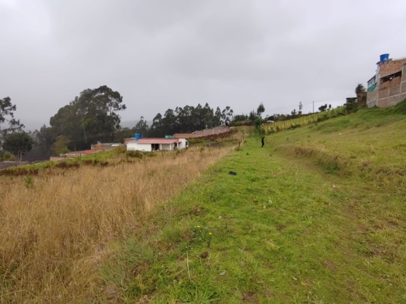 WhatsApp Image 2026 10 26 at 16.22.343 Finca Raiz Colombia