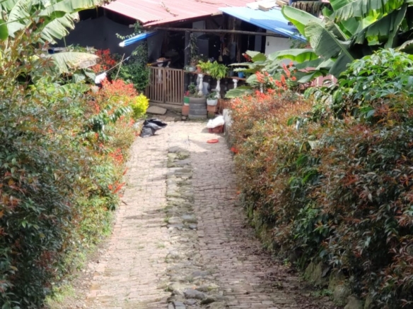 WhatsApp Image 2026 10 29 at 4.22.05 PM 3 Finca Raiz Colombia