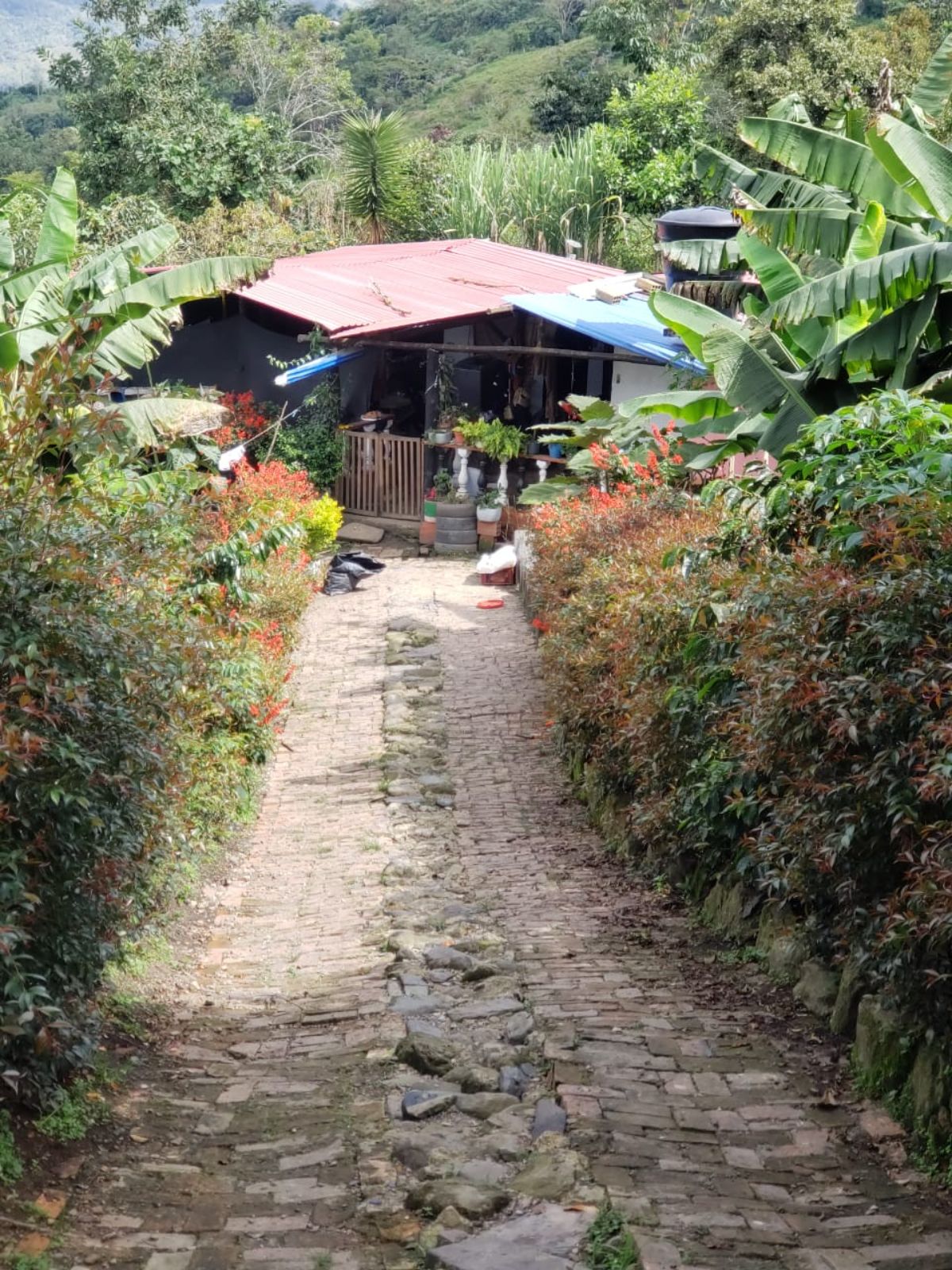 WhatsApp Image 2026 10 29 at 4.22.05 PM 3 Finca Raiz Colombia